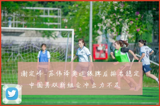 谢定峰_苏伟译奥运银牌后排名稳定,中国男双新组合冲击力不足